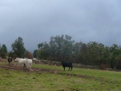 Frente del Agua - Ruta Guerra Civil; senderismo entre semana madrid; gastronómico